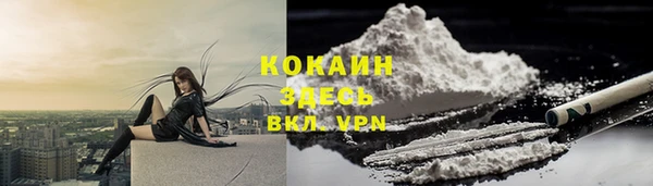 МДМА Бородино