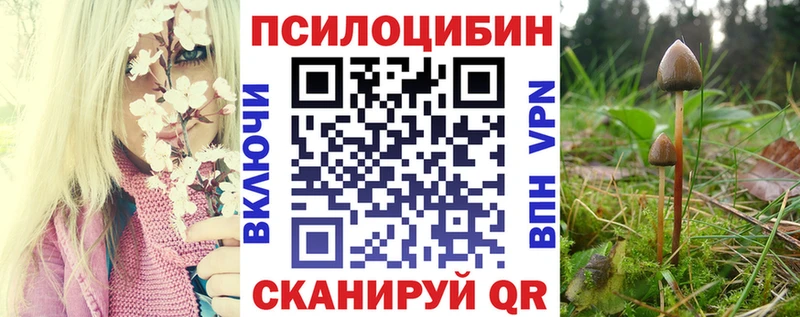 Галлюциногенные грибы Magic Shrooms  где купить наркотик  Клинцы 